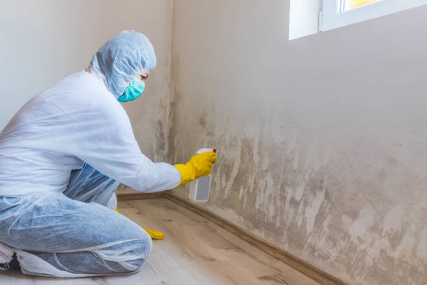 Mold Remediation specialist working in East Petersburg